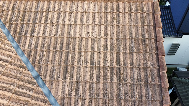 【東大阪市】モニエル瓦に苔の繁殖したお家の現地調査へ！
