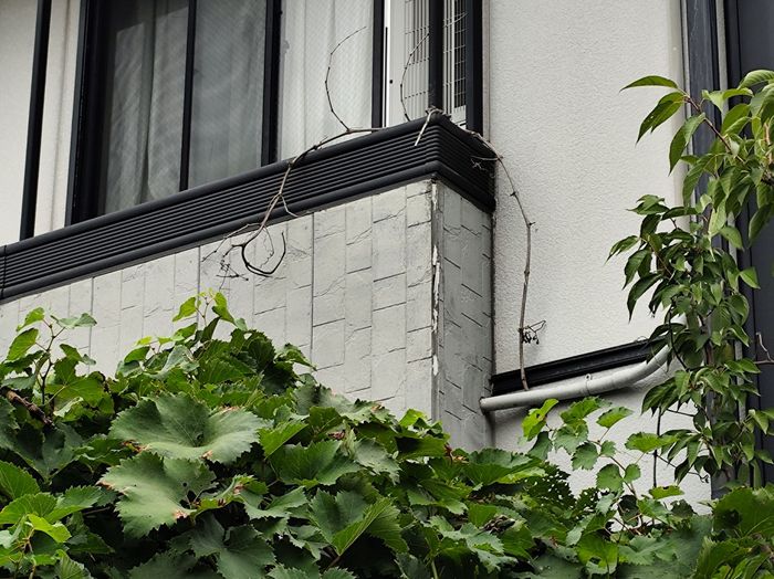 平野区喜連のアパート外壁 蔦（つた）が絡みついた外壁コーナー部分のクラックと塗膜劣化