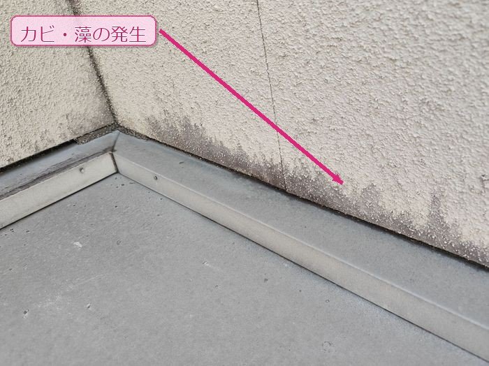 O様邸外壁下部に発生したカビ・藻。黒ずみが広範囲に広がっている