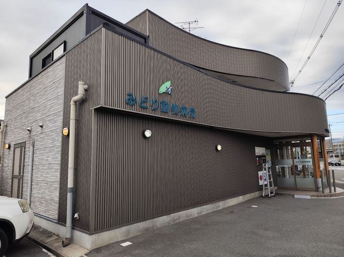 高槻市 みどり動物病院 建物全景 斜め正面 施工前