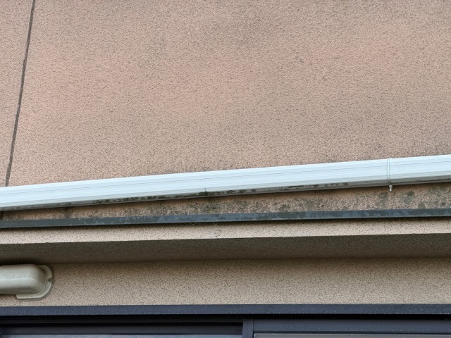 松原市別所のI様邸 庇（ひさし）の板金部分と外壁に広がる黒いコケ・藻の汚れ