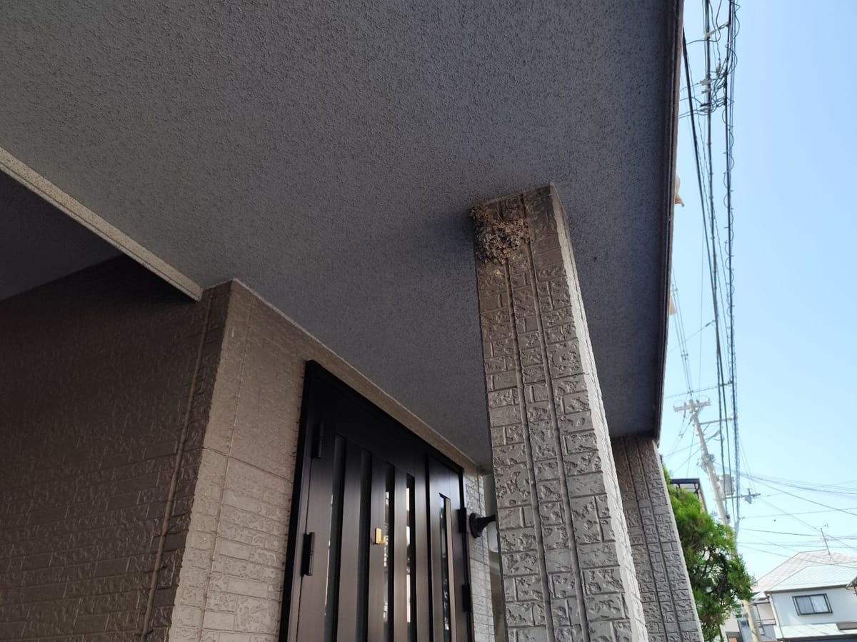 軒天 現状