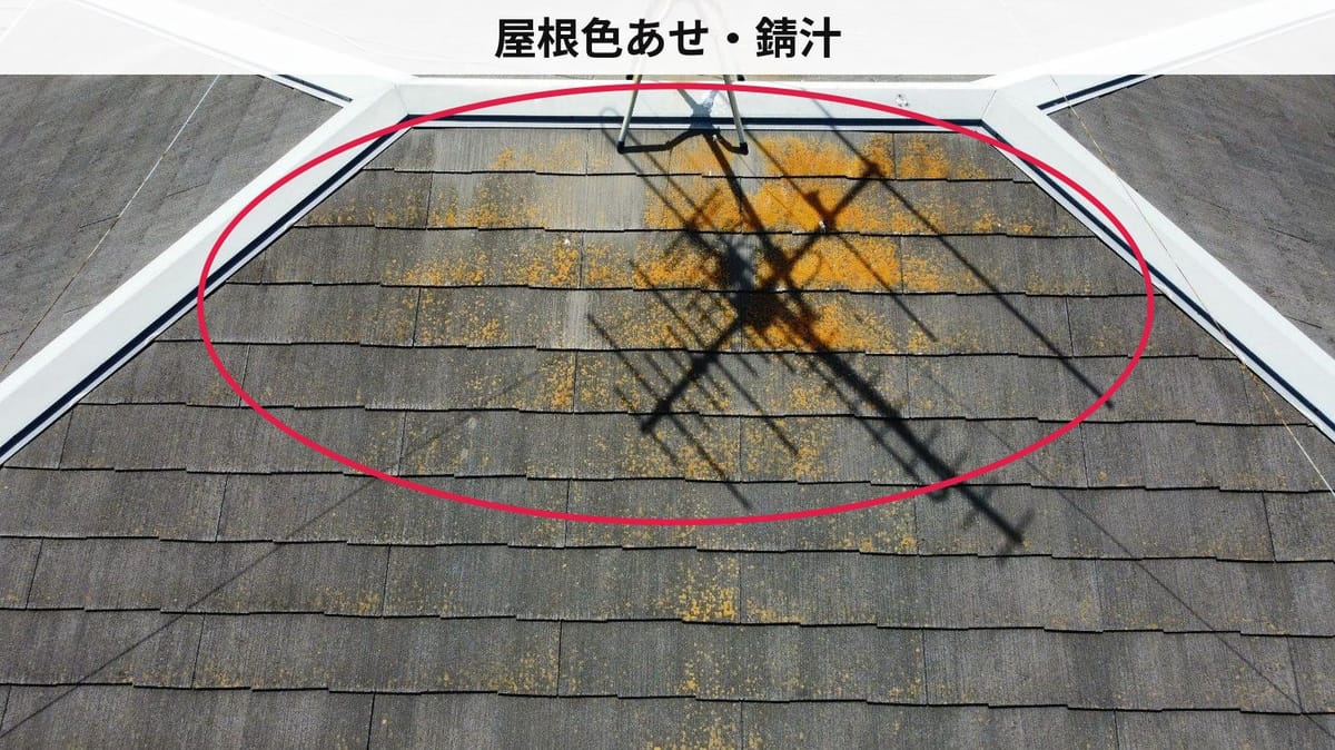 屋根 屋根 現状