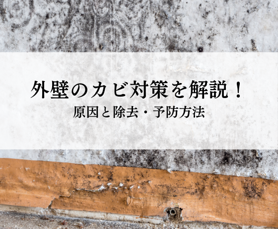 外壁のカビ対策とは？原因と除去・予防方法を解説