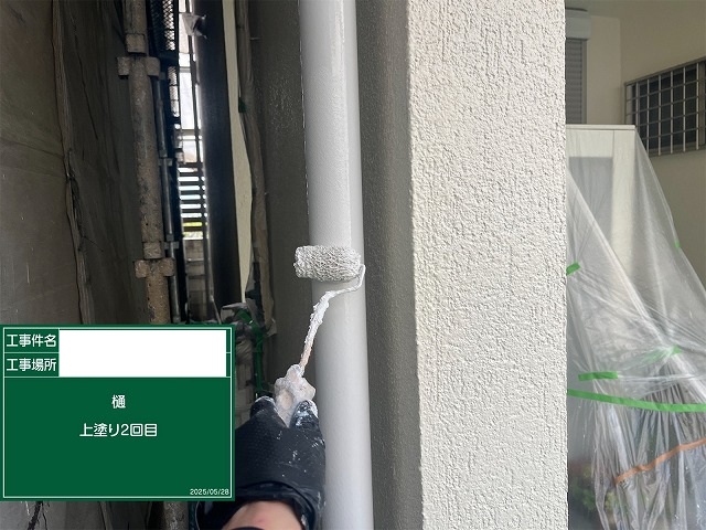 雨樋上塗り