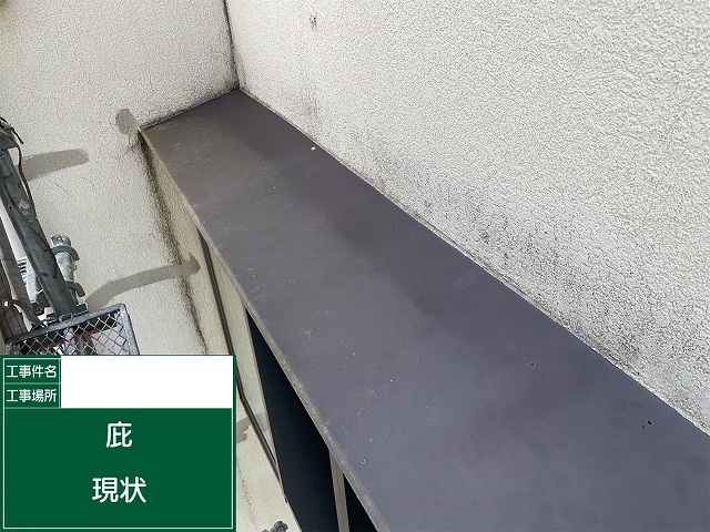 庇現状
