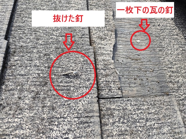 カラーベスト釘