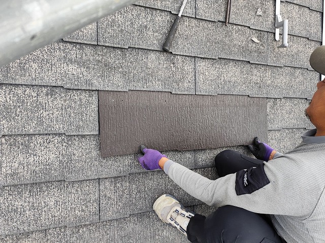 カラーベスト差し替え